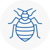Bed Bug Extermination In Caister On Sea