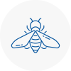 Bee Nest Removal Caister On Sea