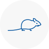 Mice Exterminators In Caister On Sea
