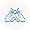 Moth Control Specialists In Caister On Sea